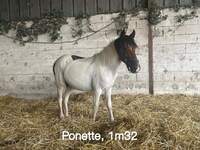 logique ponette onc 3 ans VENDU