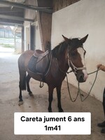 careta ponette papier espagnol 6 ans